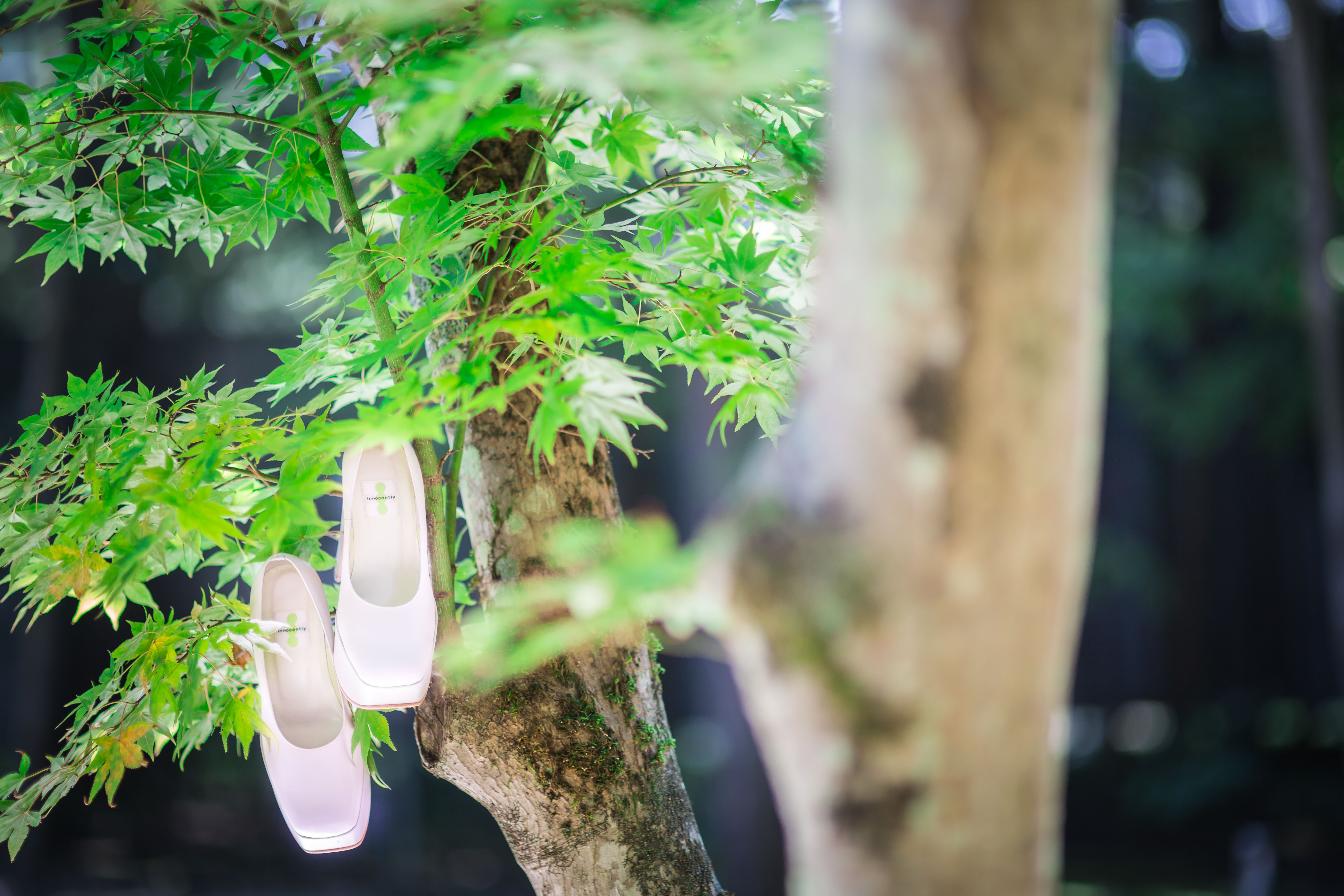 パーマリンク先: Screen Item